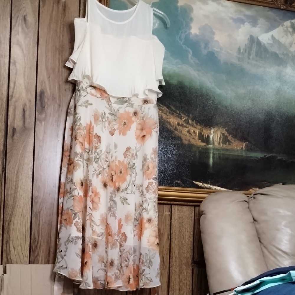 Floral Sleeveless Dress with Ruffle Detail